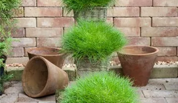 Zum Vergrößern klicken Bildvorschau