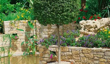 Zum Vergrößern klicken Bildvorschau