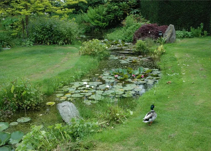 Der Bachlauf im Garten – Wasser bringt Ruhe und Erholung Der Bachlauf im Garten – Wasser bringt Ruhe und Erholung